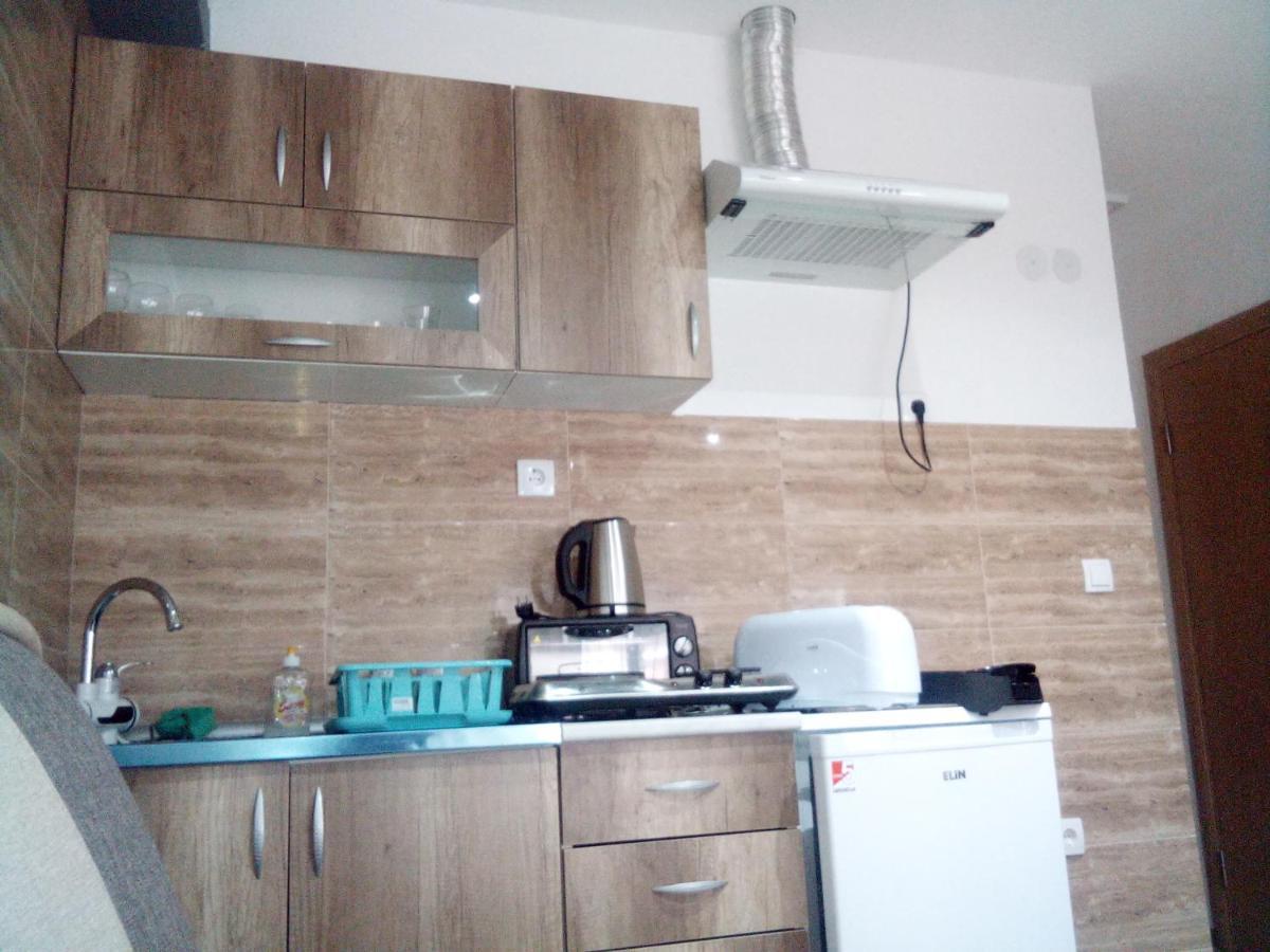 Lela Apartment Josanicka Banja Exterior photo